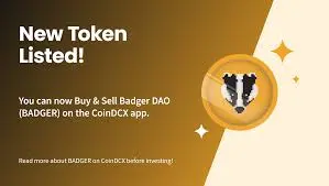 Badger DAO